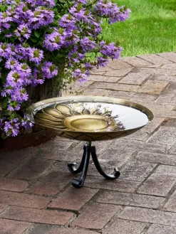 African Daisy Birdbath With Stand