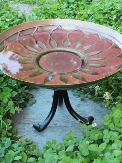 African Daisy Birdbath With Stand