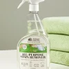 All-Purpose Stain Remover