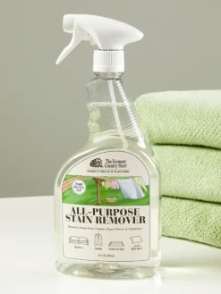 All-Purpose Stain Remover