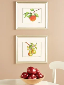 Apple And Pear Framed Art Prints by Donnel Barnum, 2 Prints