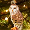 Barn Owl Blown-Glass Christmas Ornament