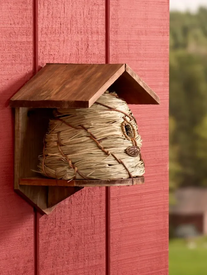 Beehive Songbird Birdhouse