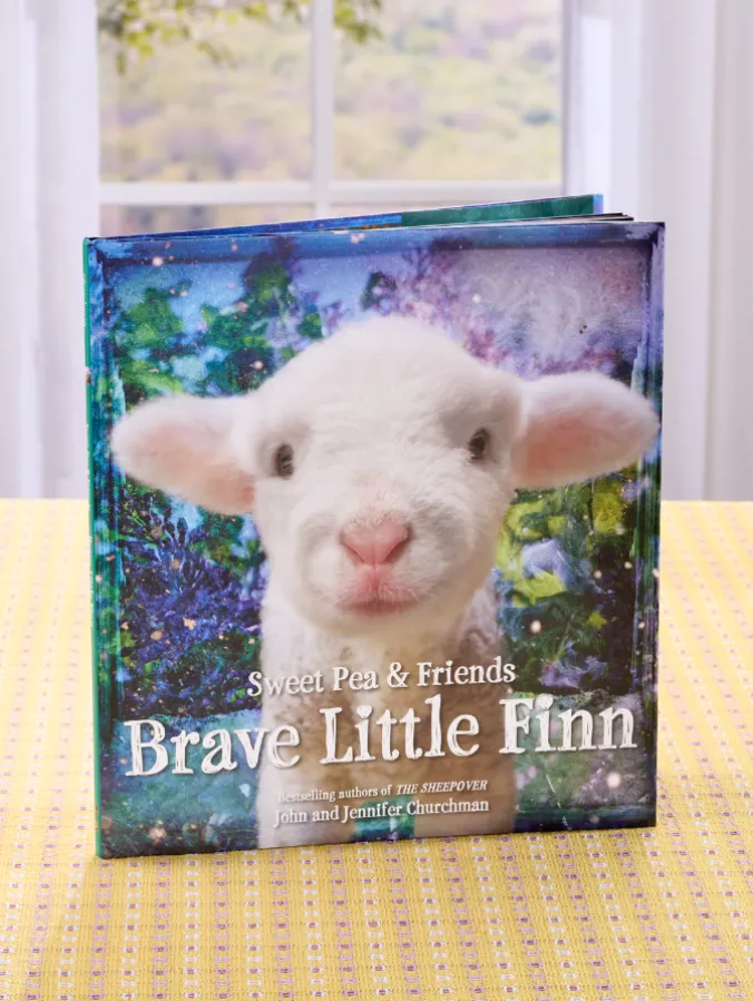 Brave Little Finn Book