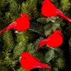 Cardinal Clip-On Christmas Ornaments, Set of 12
