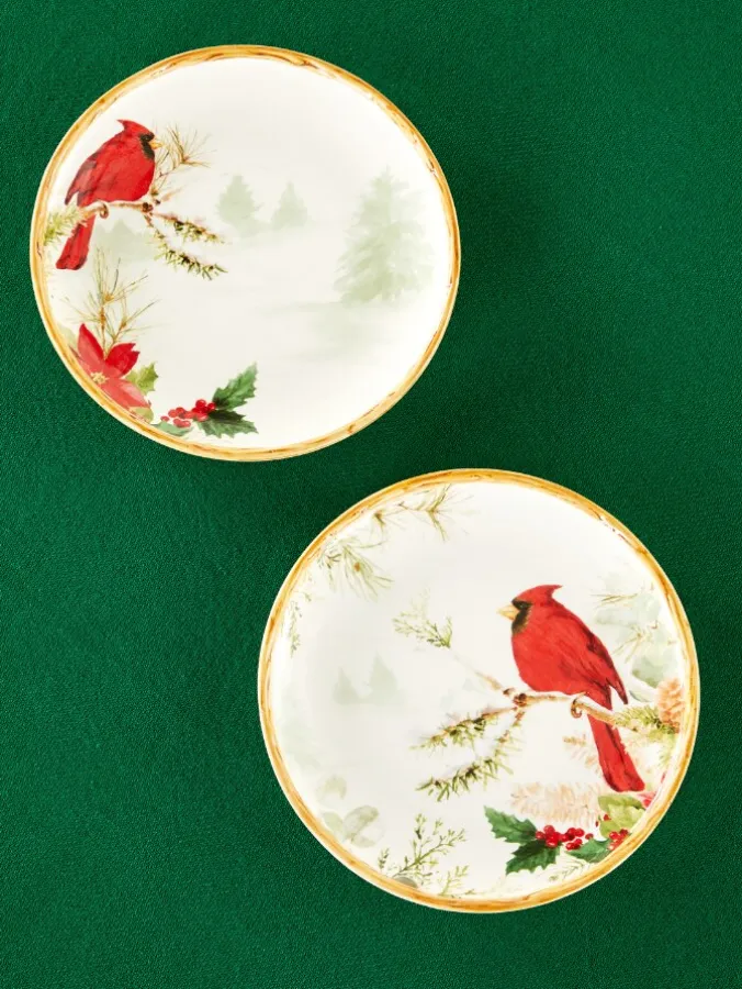 Cardinal 9 Inch Ceramic Salad Plate, Set of 2