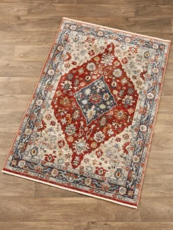 Castleton Traditional Medallion Area Rug