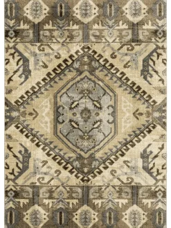 Catskills Medallion Indoor Area Rug