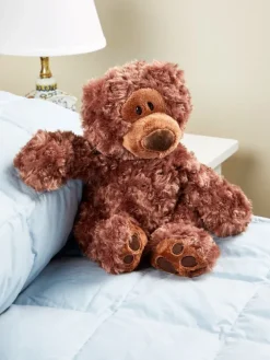 Classic Teddy Bear Plush Toy