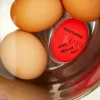 Color-Changing Perfect Egg Timer
