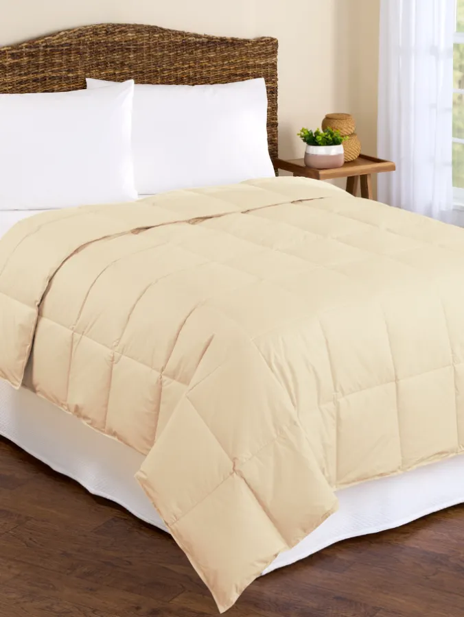 Cool Comfort Cotton Comforter