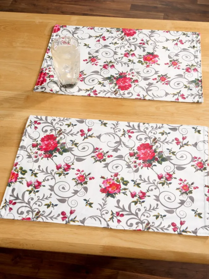 Easy Clean Coated Placemat, Set of 2