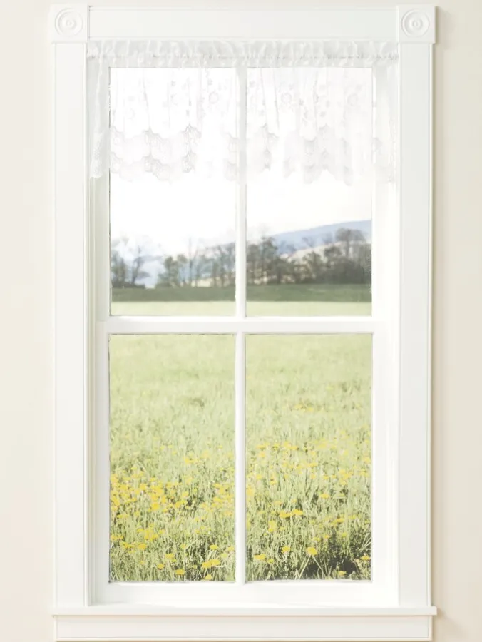 Enchanted Gardens Lace Tailored Valance by Country Curtains®