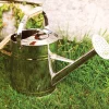 English-Style Stainless-Steel Watering Can