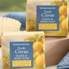 Fresh Citrus Hand and Bath Soaps, Set of 2