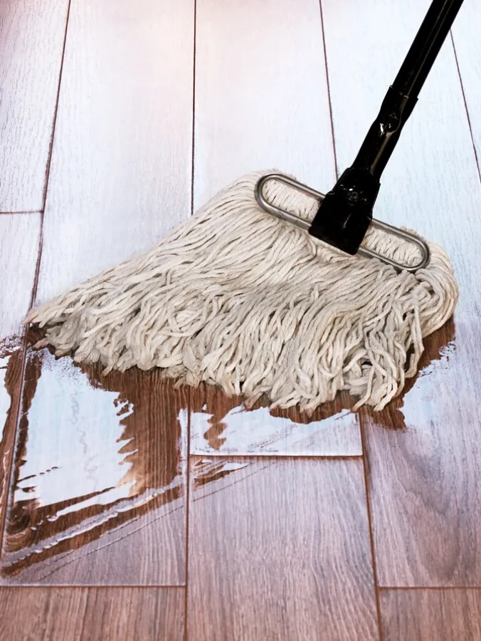 Fuller Wet Mop