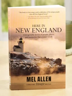 Here in New England, Paperback