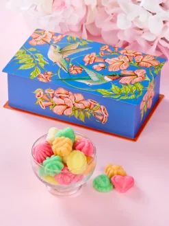 Hummingbird Tin With French Cremes