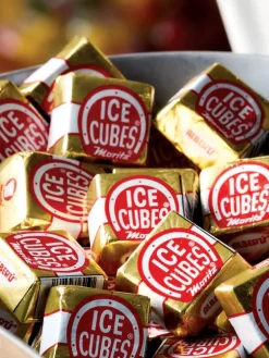 Ice Cube Chocolates