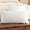 Indoor/Outdoor Throw Pillow Insert, 2 Sizes