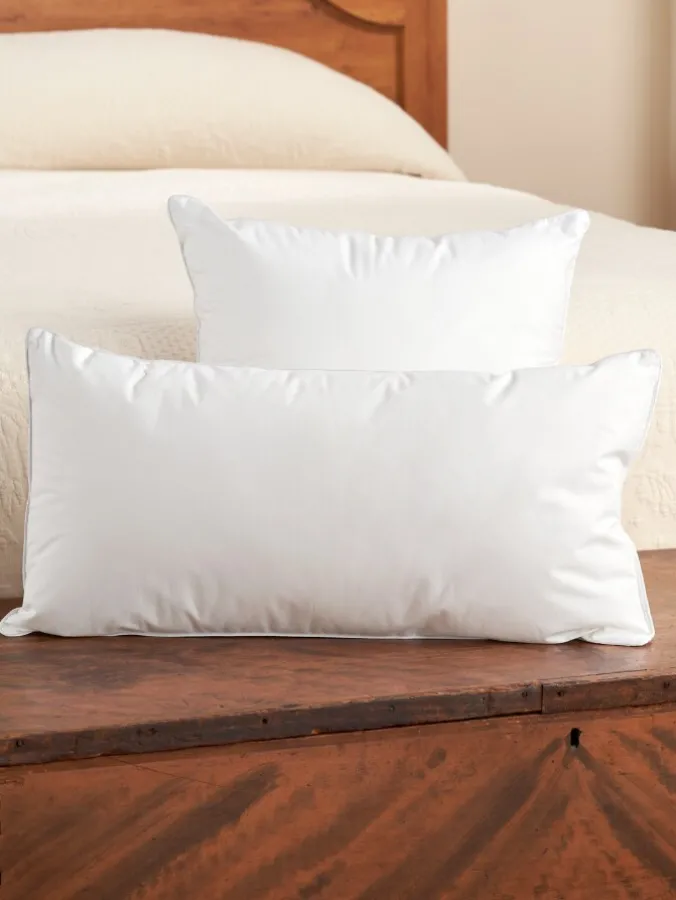Indoor/Outdoor Throw Pillow Insert, 2 Sizes
