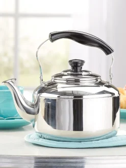 Knapp Monarch Stainless Steel Teakettle
