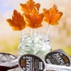 Maple Lollipops, Set of 8