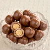 Milk Chocolate Peanut Butter Malt Balls, 10 Ounce Bag