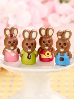Mini Chocolate Easter Bunny Gift Box