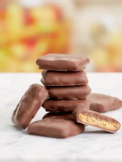 Mini Chocolate Graham Crackers, 12 Ounce Bag