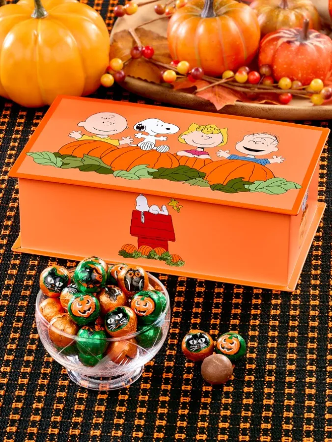 Peanuts Great Pumpkin Halloween Tin With Foiled Milk Chocolate Balls, 10 Ounces