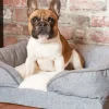Pillow Top Orthopedic Pet Lounger
