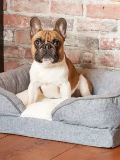 Pillow Top Orthopedic Pet Lounger