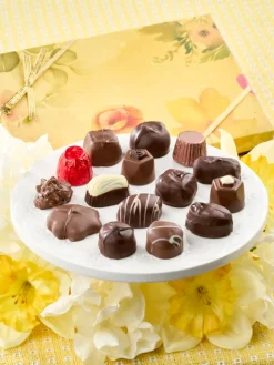 Premium Dark and Milk Chocolate Assortment