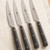 Premium Stainless Steel 4-Piece Steak Knife Set