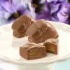 Raspberry or Caramel Filled Chocolate Bunnies
