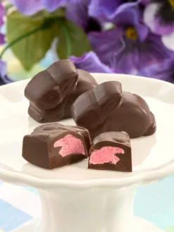 Raspberry or Caramel Filled Chocolate Bunnies