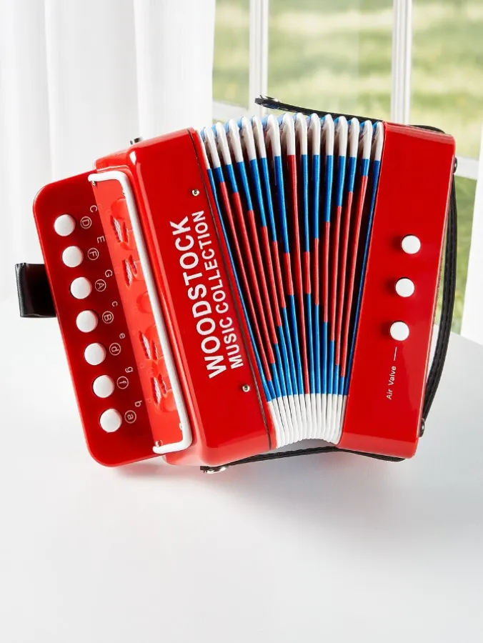 Real Accordion for Kids