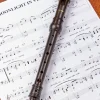 Recorder Musical Instrument