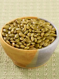Roasted and Shelled Pumpkin Seeds