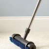 Rug Rejuvenator Brush With Telescoping Handle