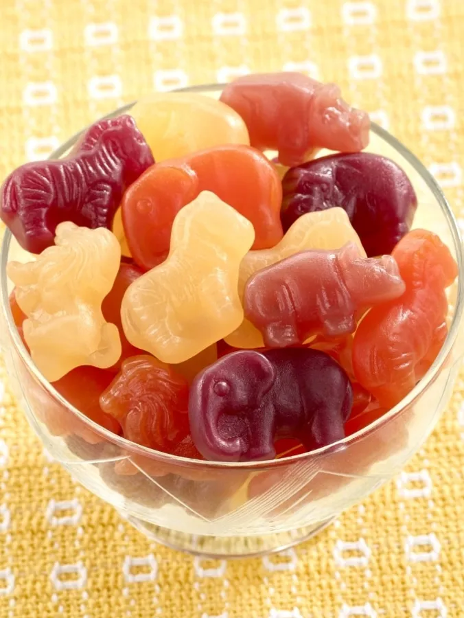 Safari Animal Pectin Gummies, 1 Pound Bag