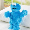 Sesame Street Cookie Monster Plush Toy