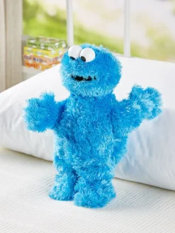 Sesame Street Cookie Monster Plush Toy