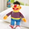 Sesame Street Ernie Plush Toy