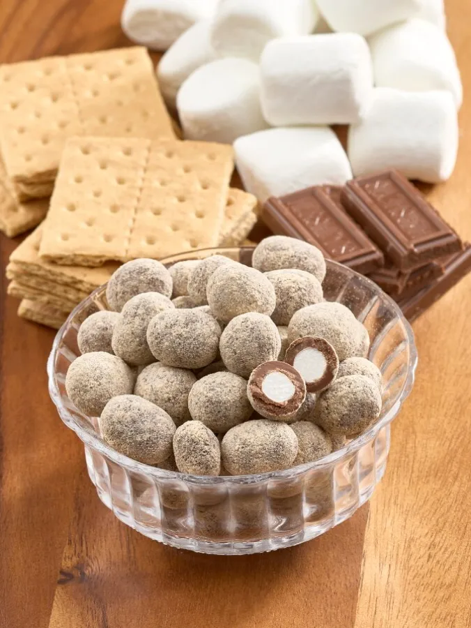 S'Mores Marshmallow Bite Chocolates, 12 Ounce Bag