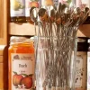 Stainless Steel Jelly Spoon