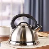 Stainless Steel Whistling Teakettle