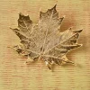 Sugar Maple Leaf Pin