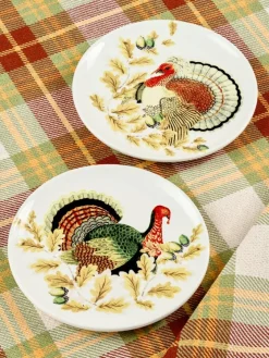 Thanksgiving Turkey Salad Plates, Set of 2